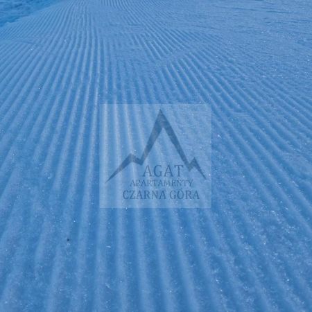 Agat Apartament Czarna Gora シェンナ エクステリア 写真